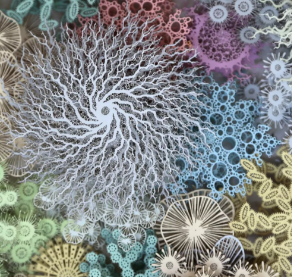 激光雕刻紙卡 帶你體驗不一樣的藝術(shù)之美