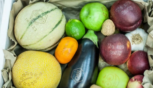 激光打標“可食用標簽”，引領食品安全新風向